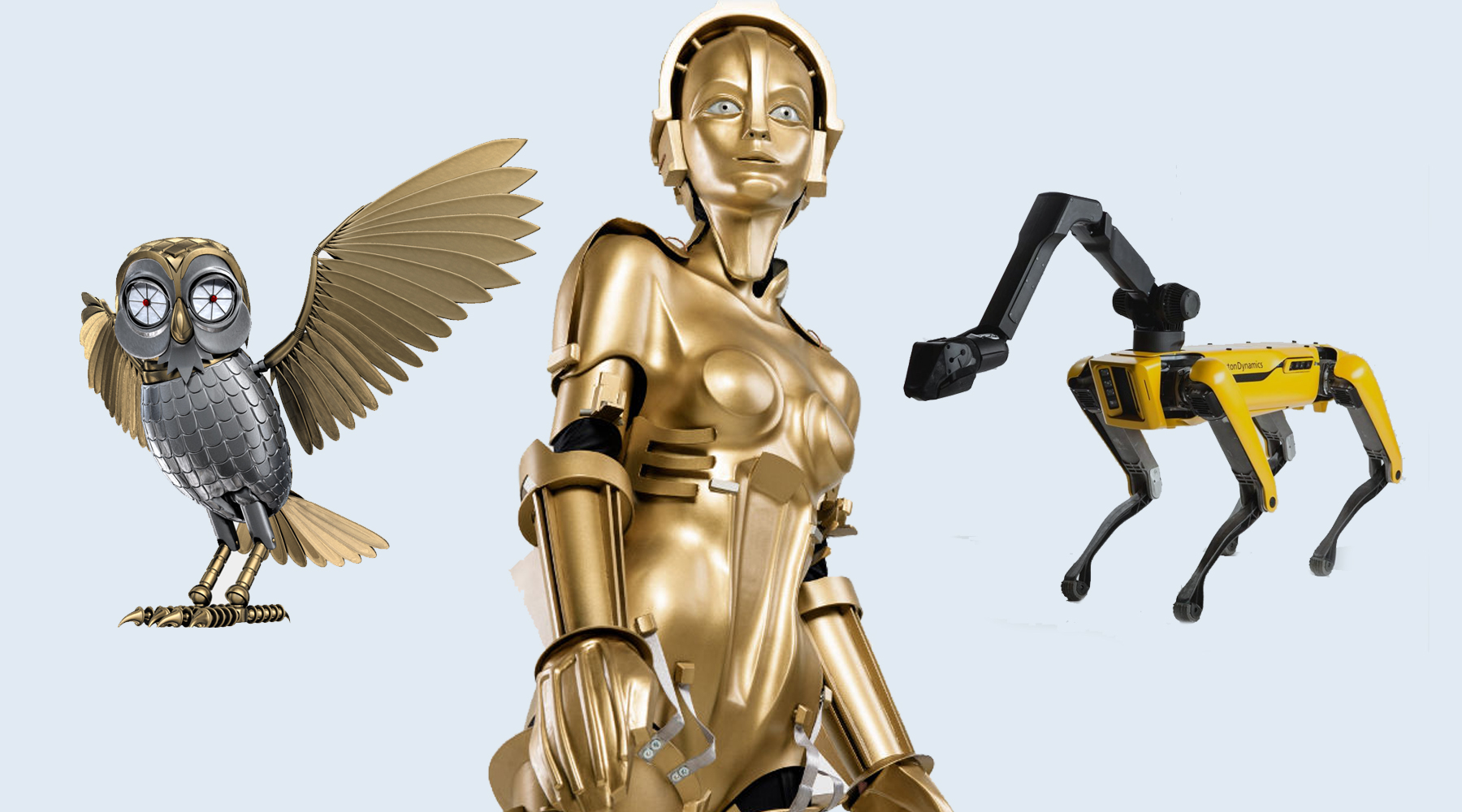 What is a bot?
